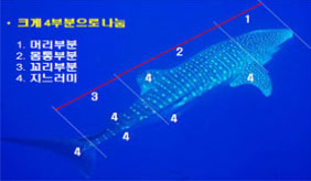 알쏠달쏭 수산물(어류) 구별법