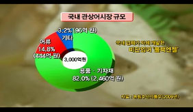 신동력사업, 관상어