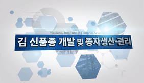 김 신품종 개발 및 종자생산·관리